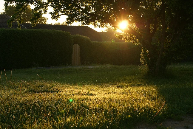 avant_SUD-PAYSAGE